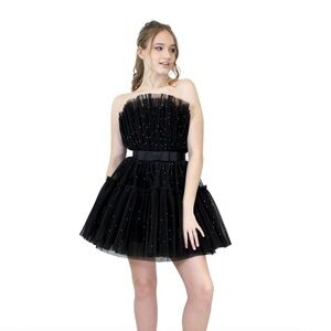 Elegant Black Tulle Dress